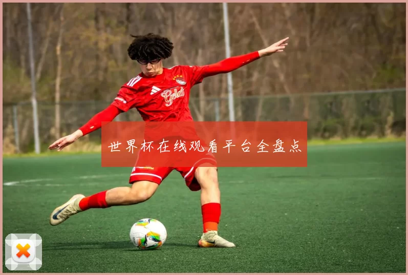 世界杯在线观看平台全盘点