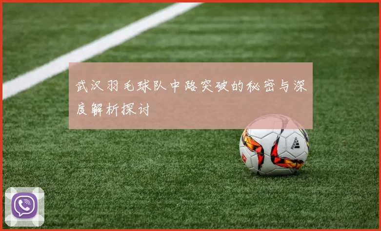武汉羽毛球队中路突破的秘密与深度解析探讨
