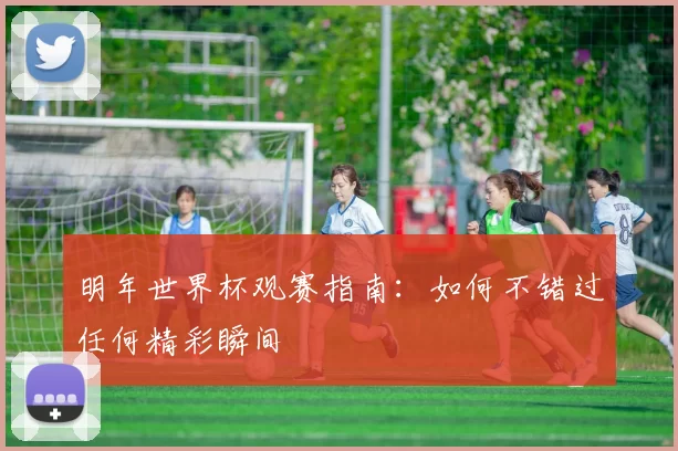 明年世界杯观赛指南：如何不错过任何精彩瞬间