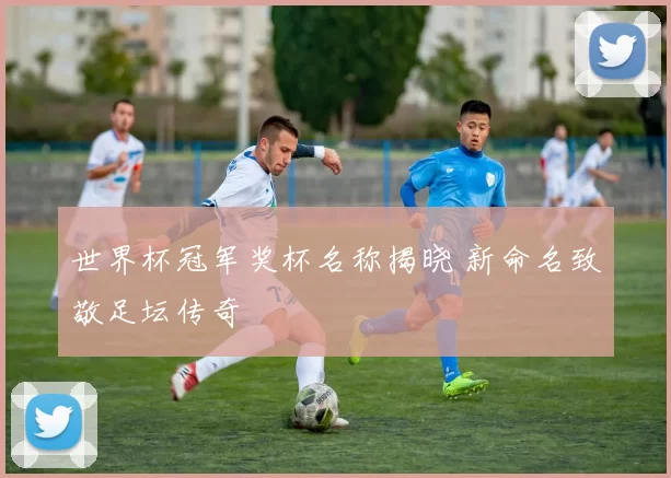 世界杯冠军奖杯名称揭晓 新命名致敬足坛传奇