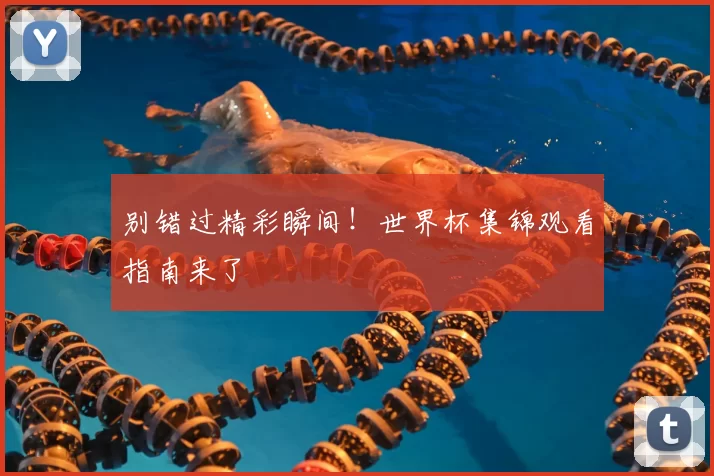 别错过精彩瞬间！世界杯集锦观看指南来了