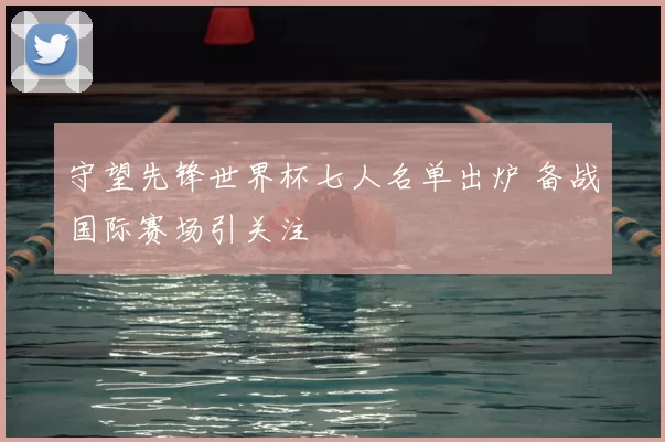守望先锋世界杯七人名单出炉 备战国际赛场引关注