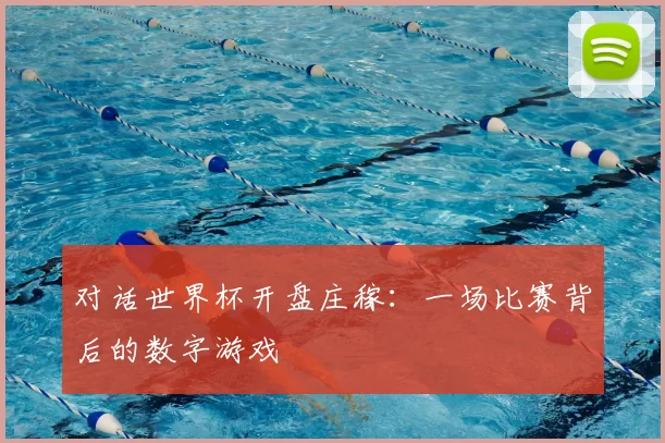对话世界杯开盘庄稼：一场比赛背后的数字游戏
