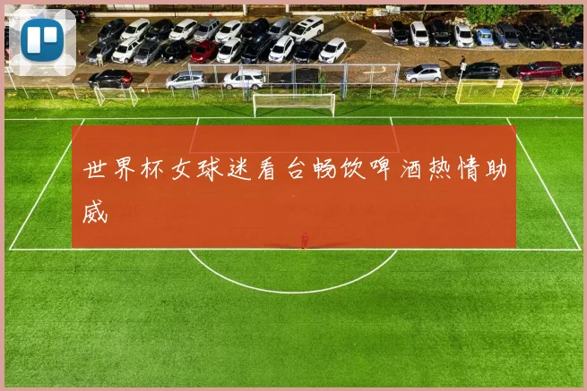 世界杯女球迷看台畅饮啤酒热情助威