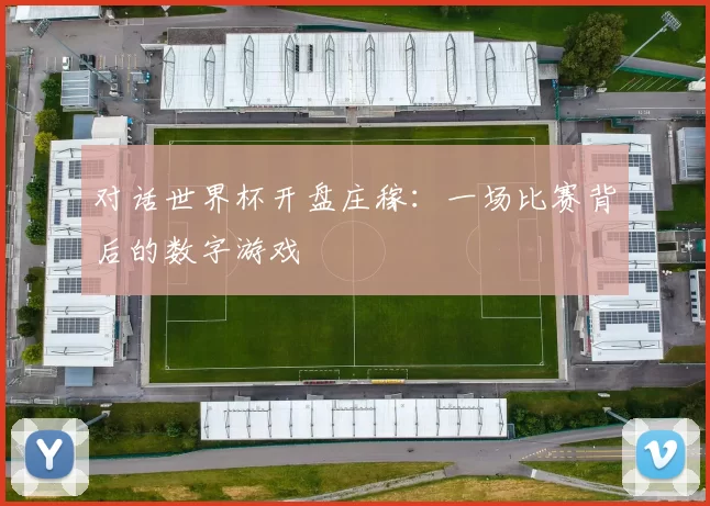 对话世界杯开盘庄稼：一场比赛背后的数字游戏