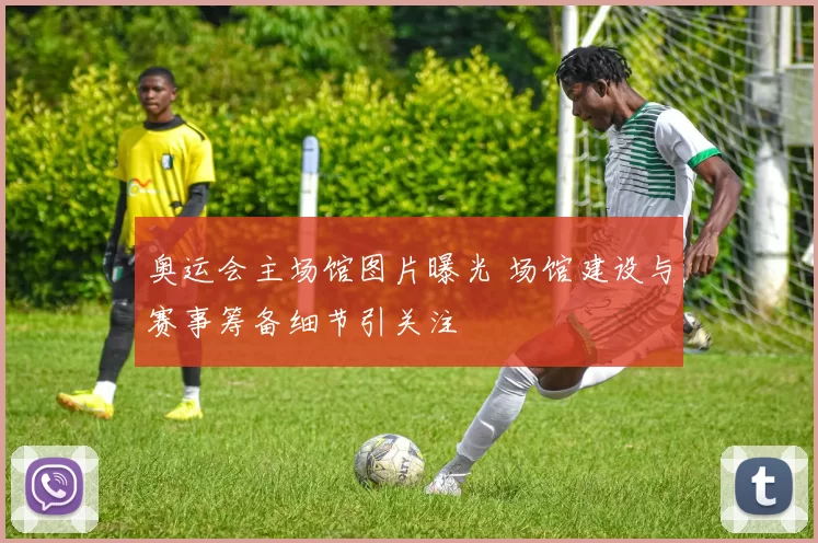 奥运会主场馆图片曝光 场馆建设与赛事筹备细节引关注