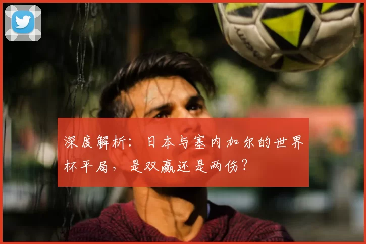 深度解析：日本与塞内加尔的世界杯平局，是双赢还是两伤？